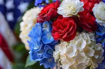 Liberty Collection