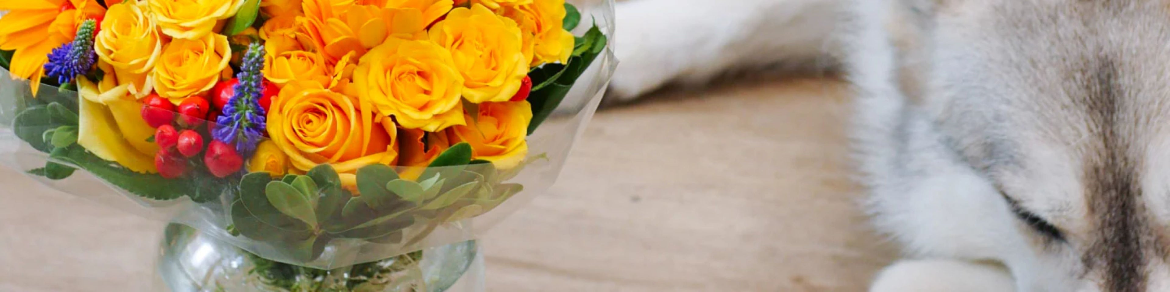 Pet- Friendly Flower Bouquets