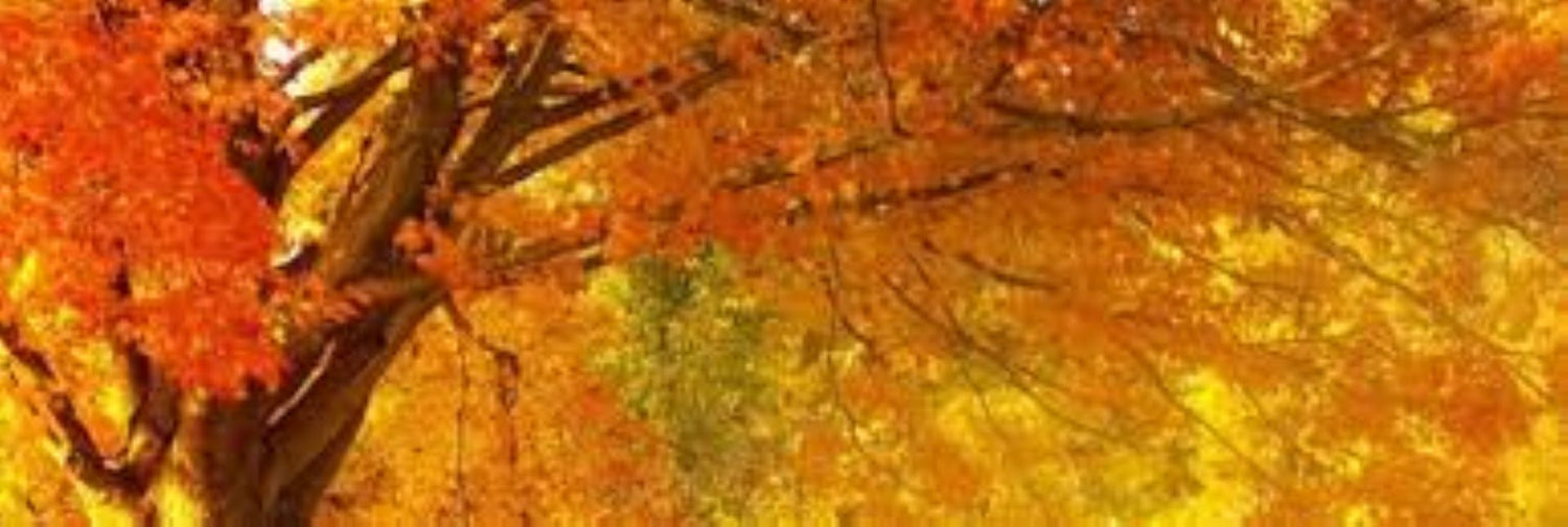 Fall