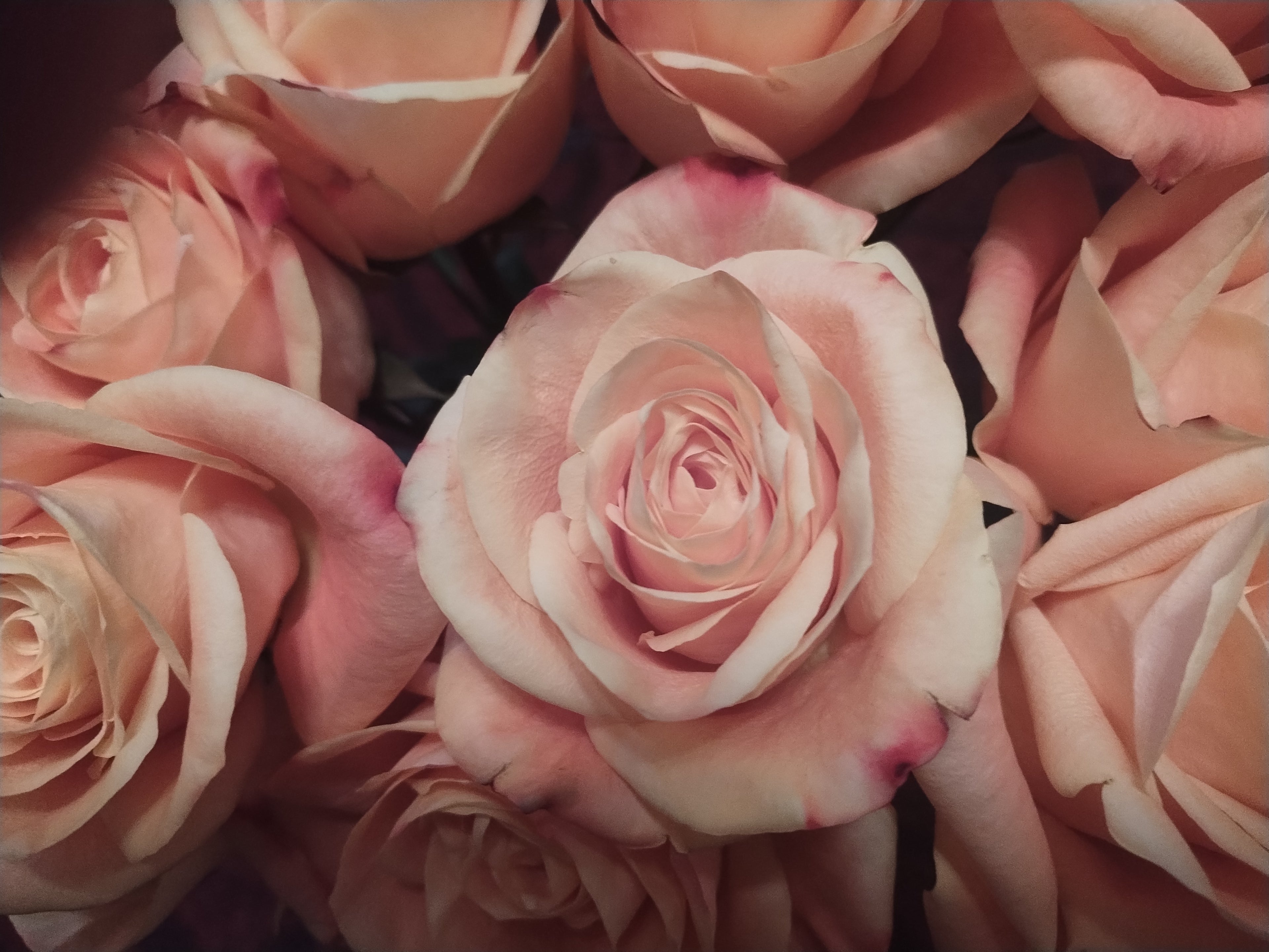 Flower Subscription