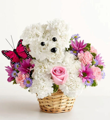 Precious Pup™ –  North Star Blooms, Roseville MN