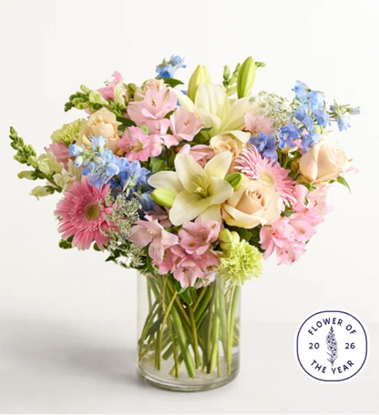 Delphinium Meadow™