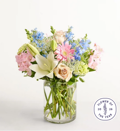 Delphinium Meadow™