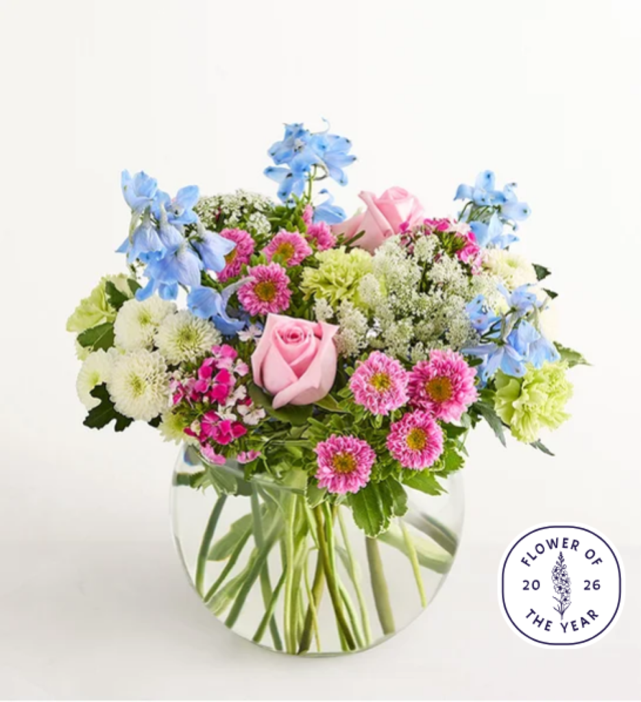Delphinium Garden™