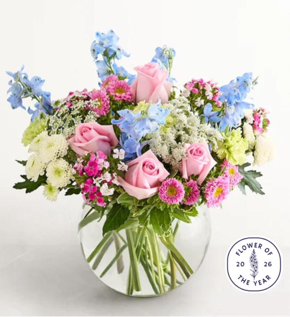 Delphinium Garden™