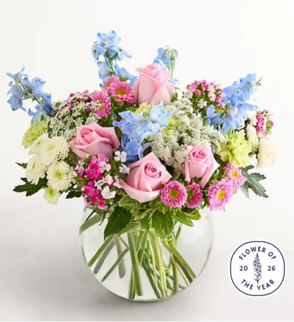 Delphinium Garden™