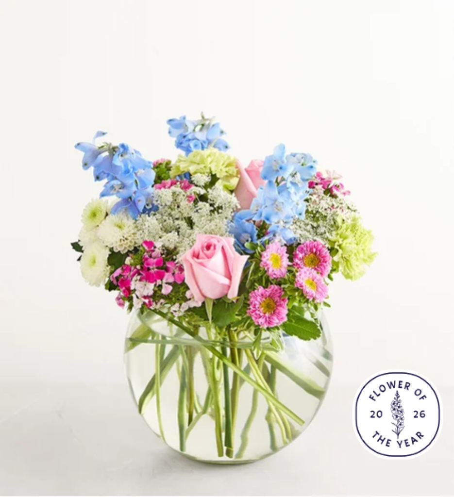 Delphinium Garden™