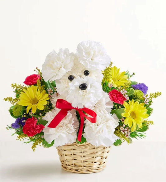 a-DOG-able® in a Basket