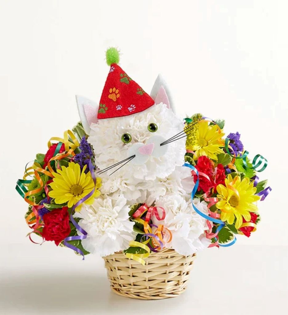 Purrfect Party Cat™