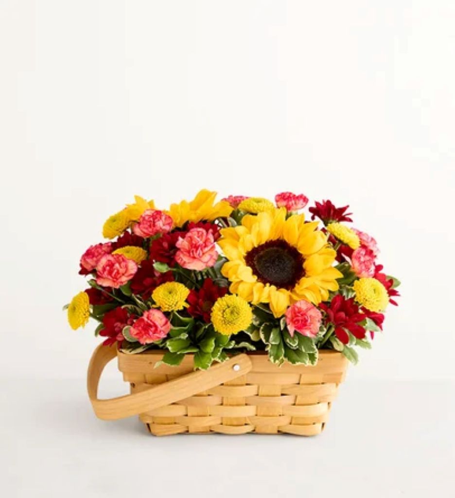 Fields of Europe® for Fall Basket –  North Star Blooms, Roseville MN