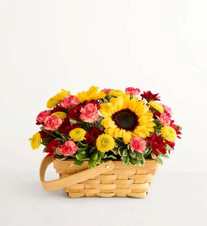 Fields of Europe® for Fall Basket –  North Star Blooms, Roseville MN