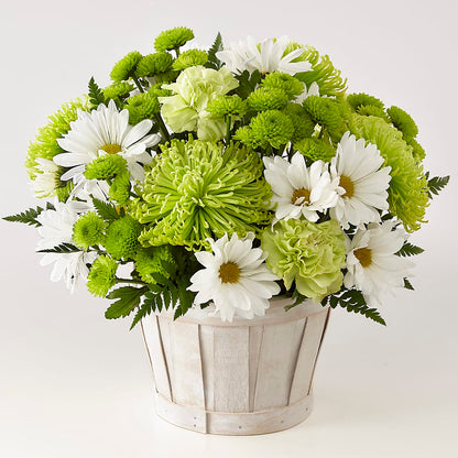 Lucky Charm Basket (Standard) –  North Star Blooms, Roseville MN