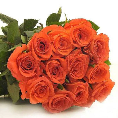Roses  ( More Colors ) –  North Star Blooms, Roseville MN