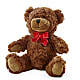 Adorable Plush Bear –  North Star Blooms, Roseville MN