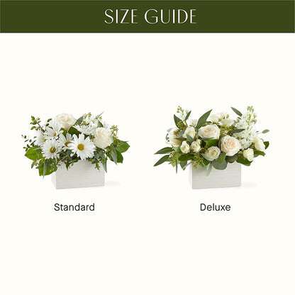 Fresh Linen Box Bouquet –  North Star Blooms, Roseville MN