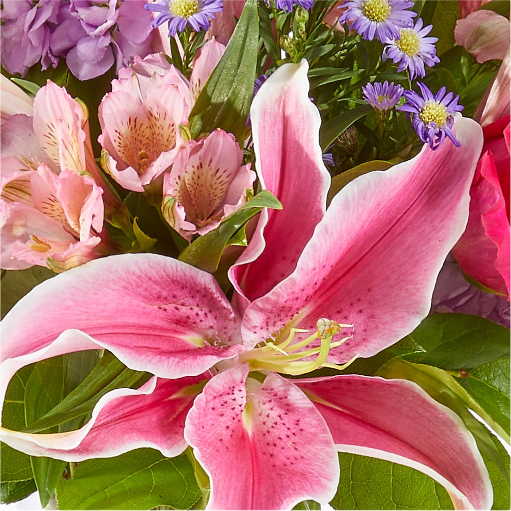Written in the Stars Bouquet –  North Star Blooms, Roseville MN