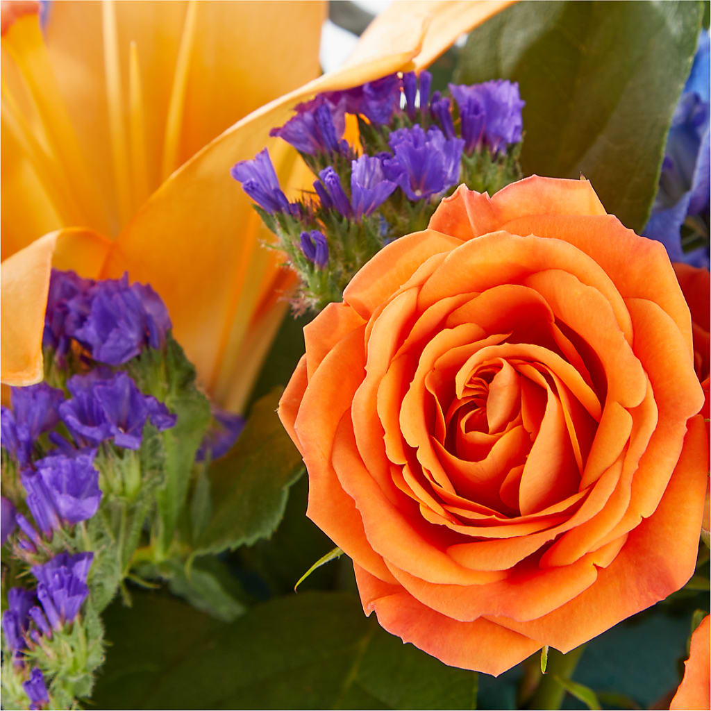 Radiant Citrus Box Bouquet –  North Star Blooms, Roseville MN