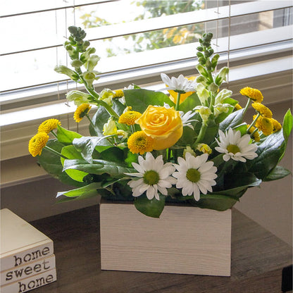 Sun Salutation Box Bouquet –  North Star Blooms, Roseville MN