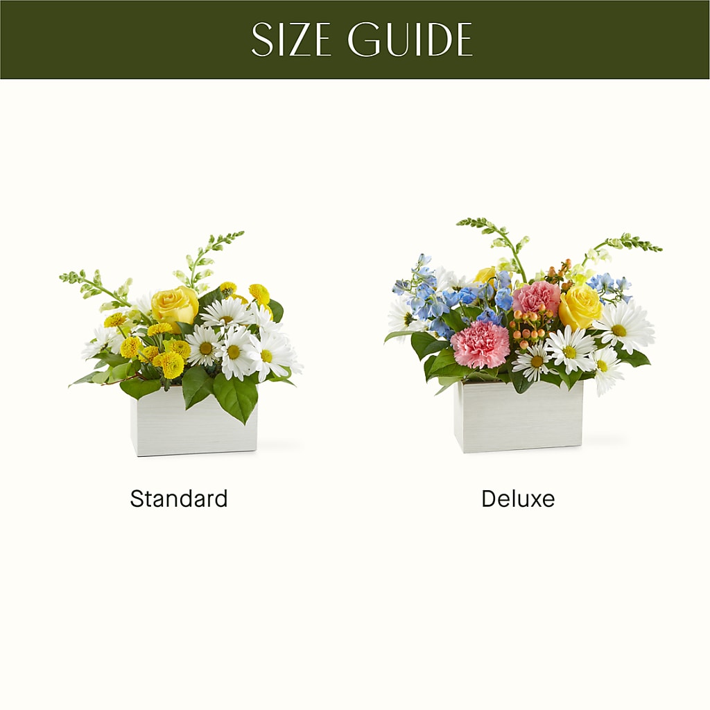 Sun Salutation Box Bouquet –  North Star Blooms, Roseville MN