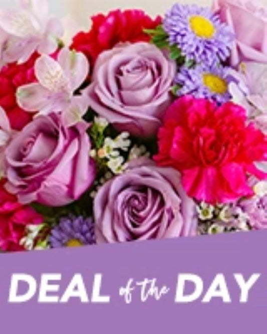 Deal Of The Day