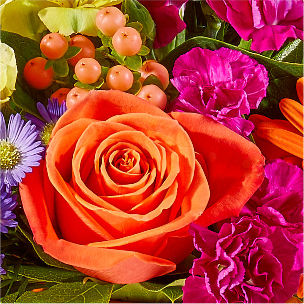 Tricks & Treats Pumpkin –  North Star Blooms, Roseville MN