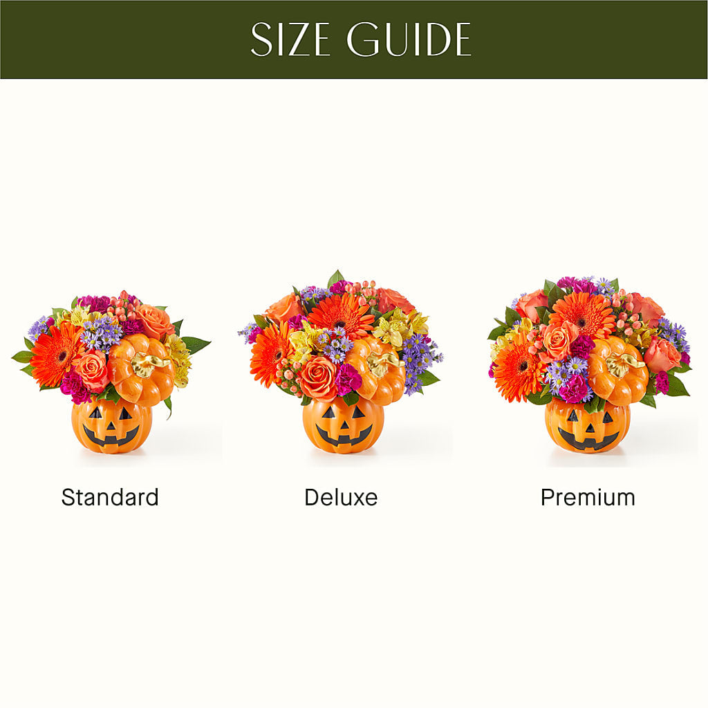 Tricks & Treats Pumpkin –  North Star Blooms, Roseville MN