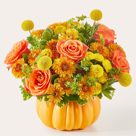 Gourdgeous Pumpkin –  North Star Blooms, Roseville MN