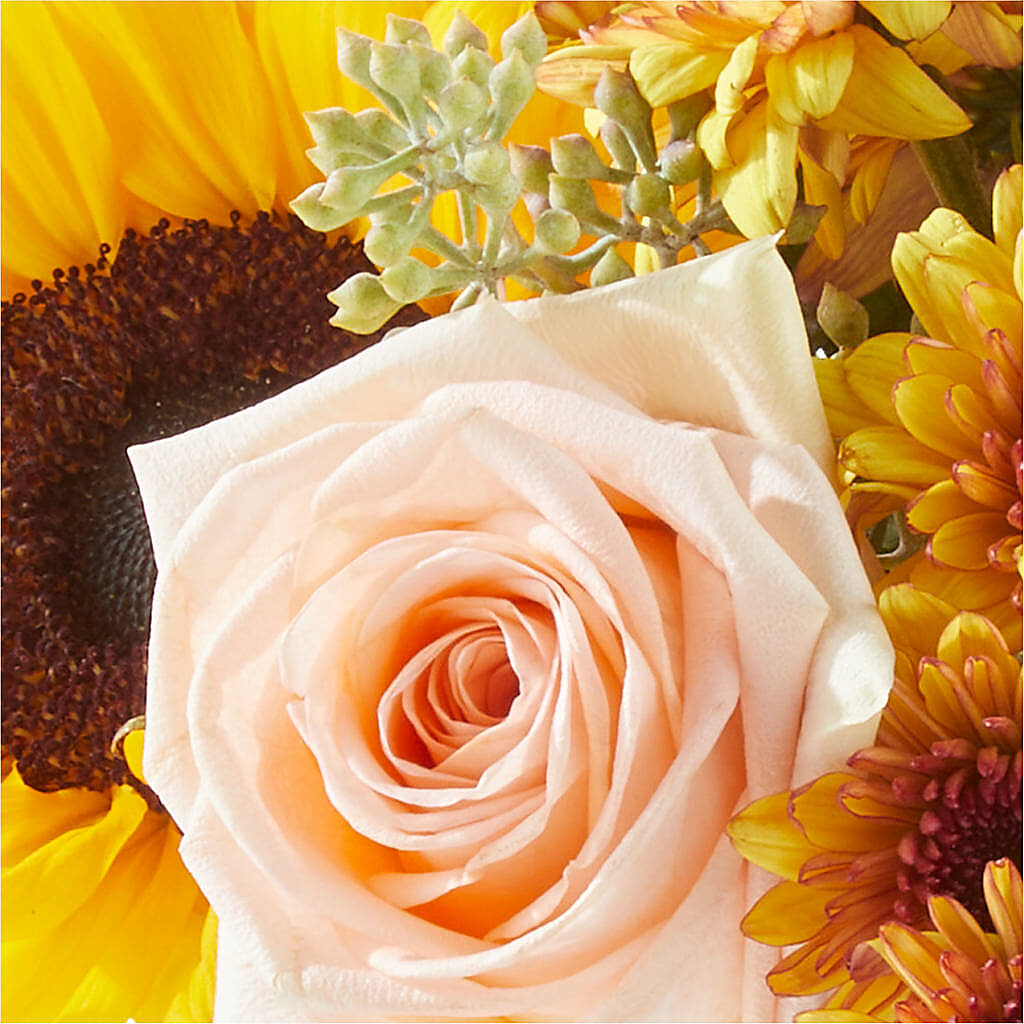 Pumpkin to Talk About Bouquet –  North Star Blooms, Roseville MN