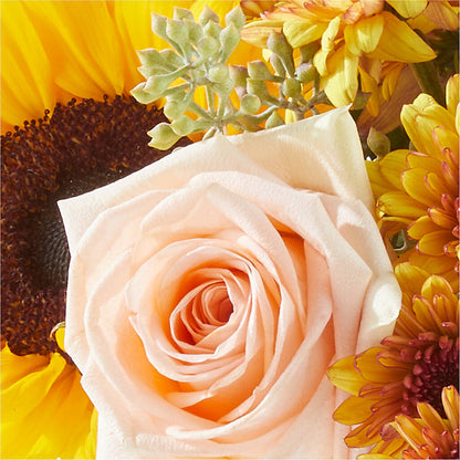 Pumpkin to Talk About Bouquet –  North Star Blooms, Roseville MN