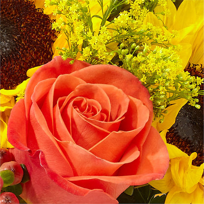 Pick of the Patch Pumpkin Bouquet –  North Star Blooms, Roseville MN