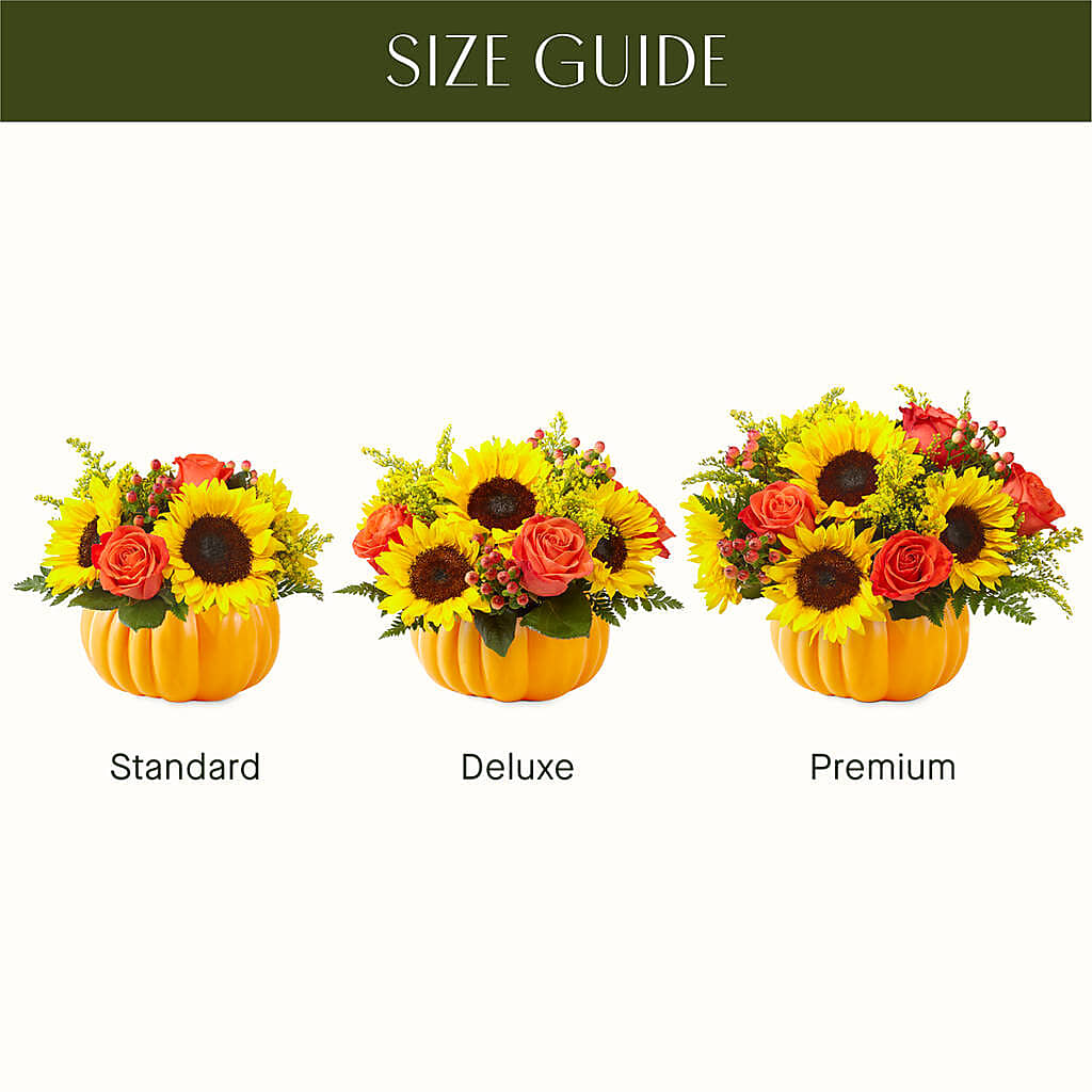 Pick of the Patch Pumpkin Bouquet –  North Star Blooms, Roseville MN