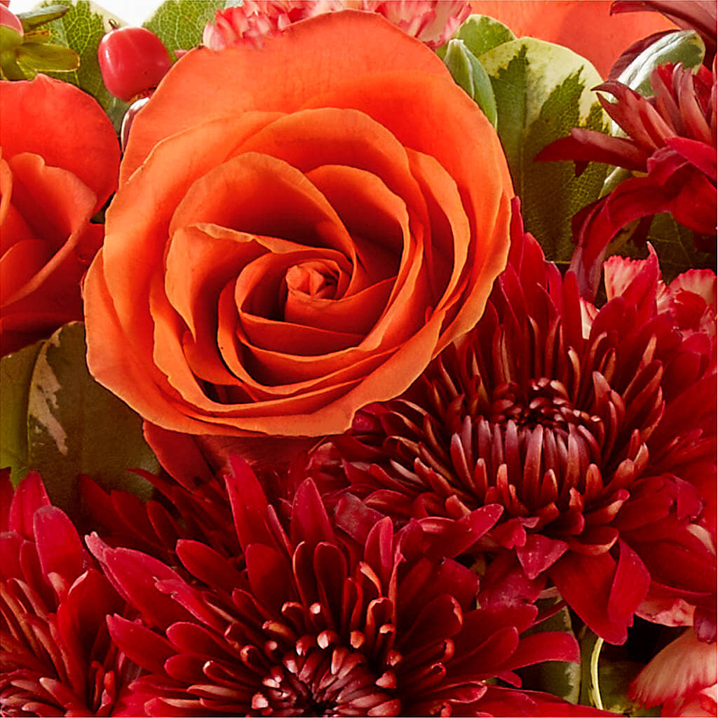 Autumn Air Pumpkin Bouquet –  North Star Blooms, Roseville MN