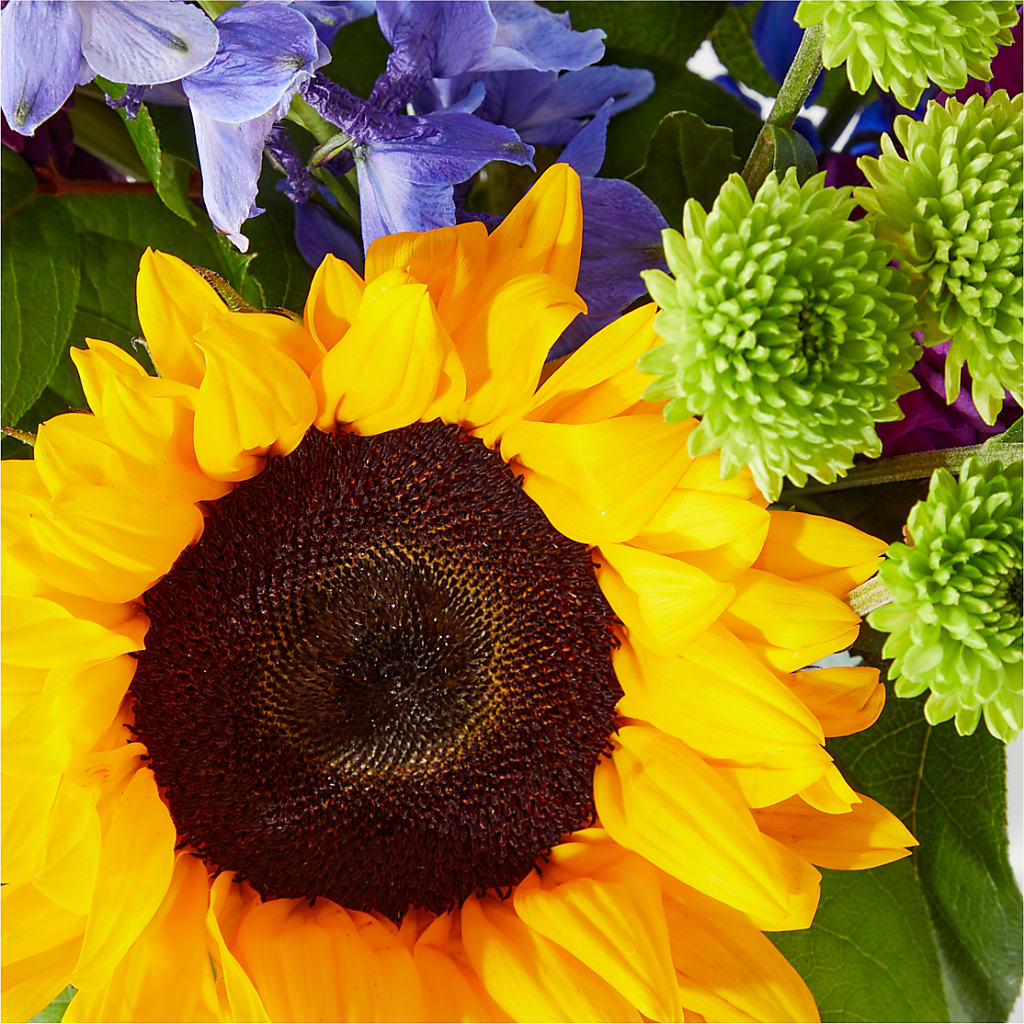 Catching Rays Bouquet –  North Star Blooms, Roseville MN