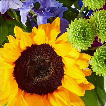 Catching Rays Bouquet –  North Star Blooms, Roseville MN