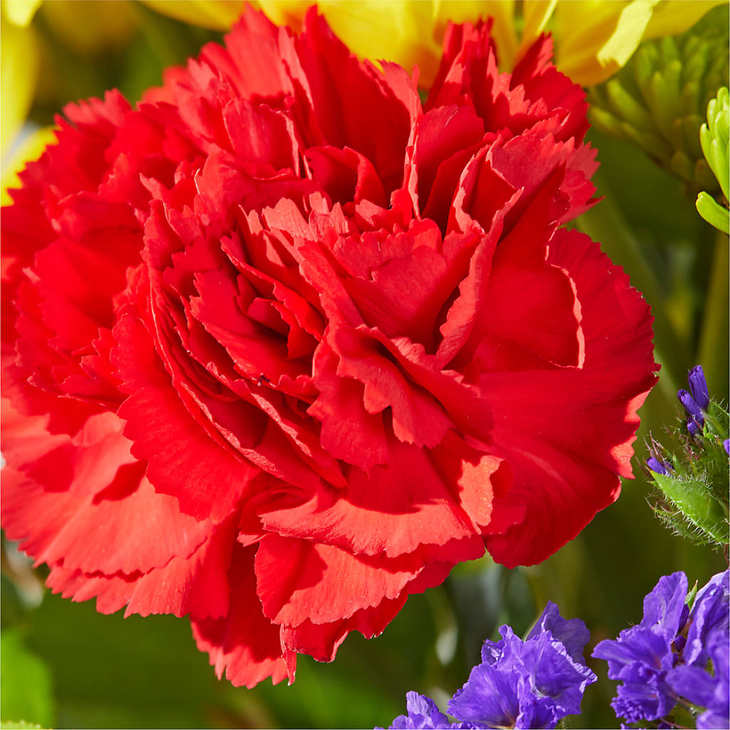 Brighter Days Bouquet –  North Star Blooms, Roseville MN