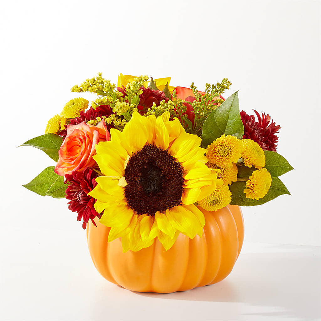 Golden Gourd Pumpkin Bouquet –  North Star Blooms, Roseville MN