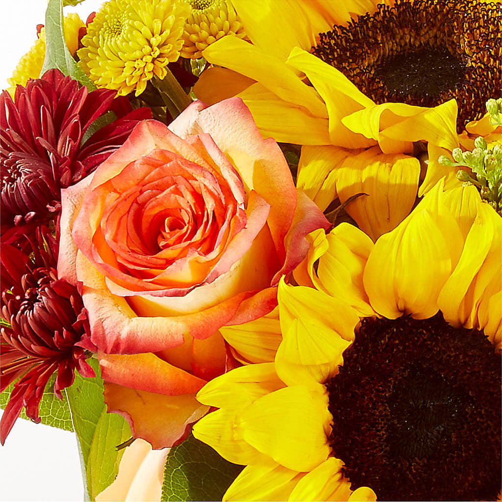 Golden Gourd Pumpkin Bouquet –  North Star Blooms, Roseville MN
