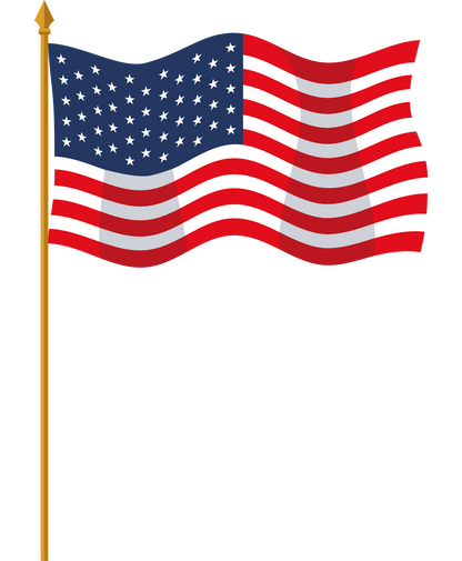 American Flag –  North Star Blooms, Roseville MN