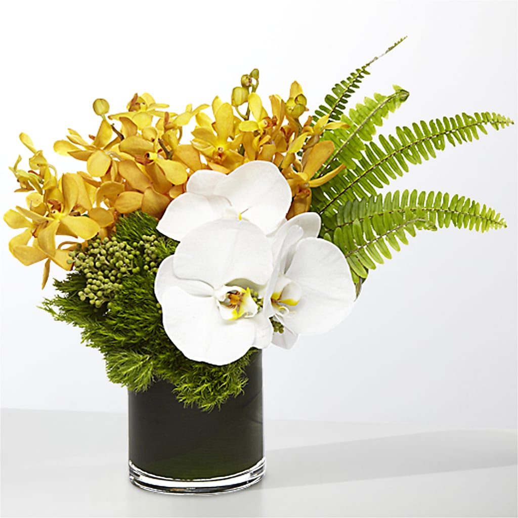 The Tropics –  North Star Blooms, Roseville MN