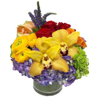 Rainbow Signature –  North Star Blooms, Roseville MN