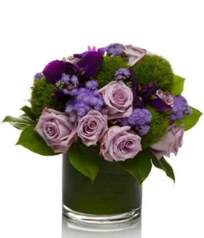 Violette –  North Star Blooms, Roseville MN