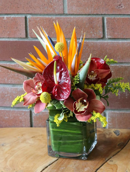Florida Vibe –  North Star Blooms, Roseville MN