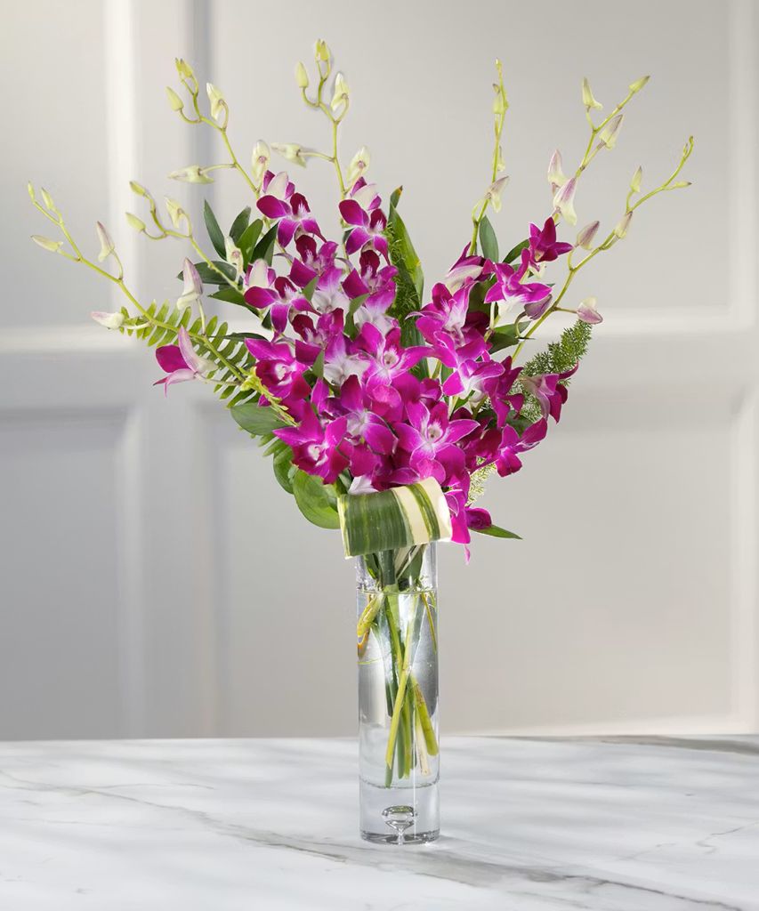 Exotic Orchids Desktop Budvase
