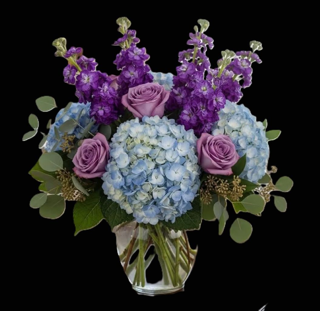 Coastal Lavender –  North Star Blooms, Roseville MN