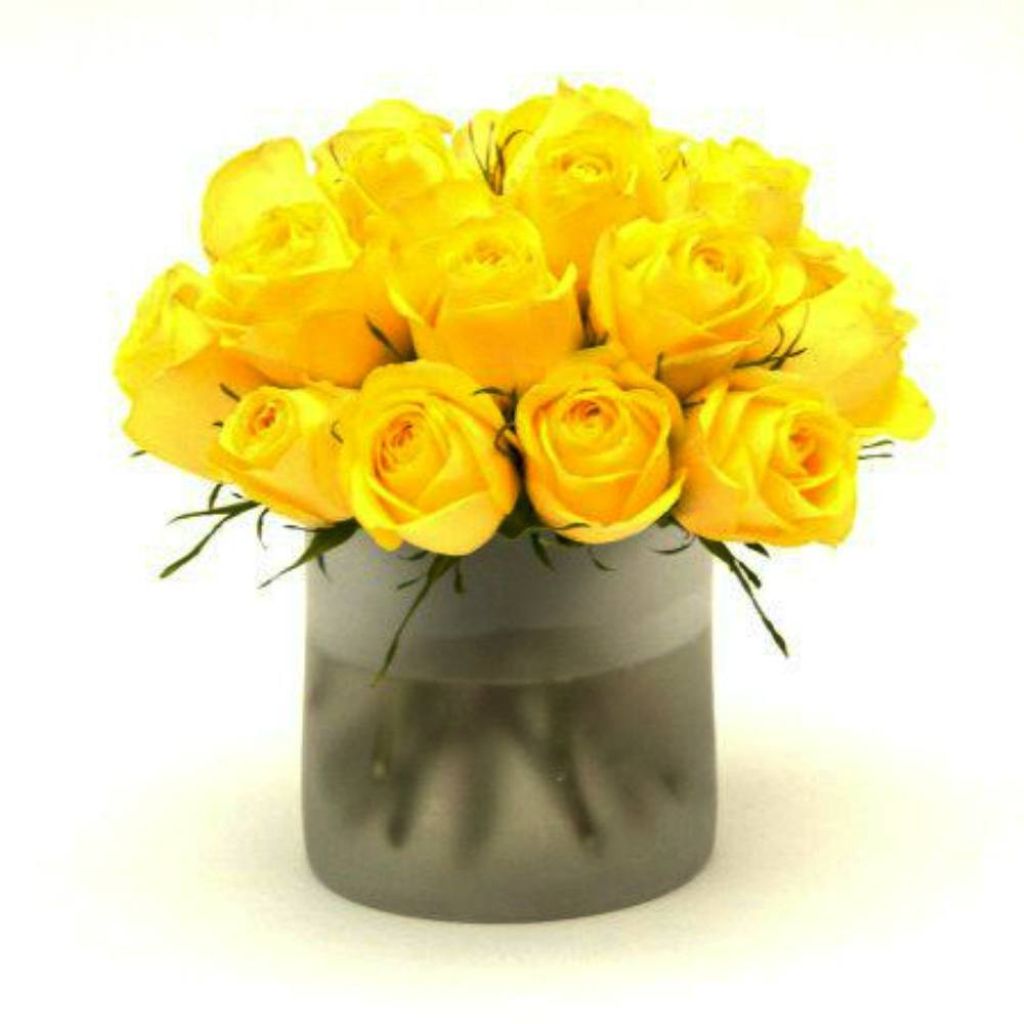 Two-Dozen Roses –  North Star Blooms, Roseville MN