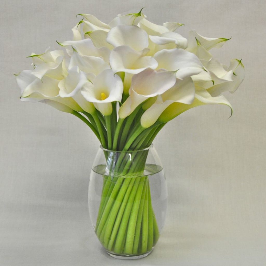 White Calla Lilies –  North Star Blooms, Roseville MN