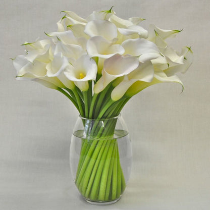 White Calla Lilies –  North Star Blooms, Roseville MN