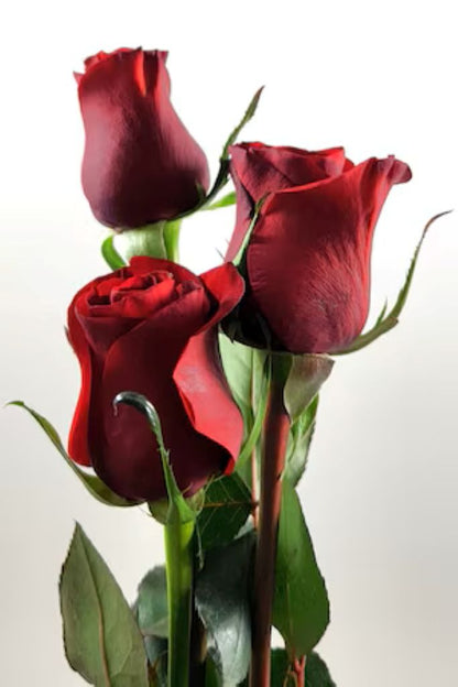 Add Extra Red  Roses To Order