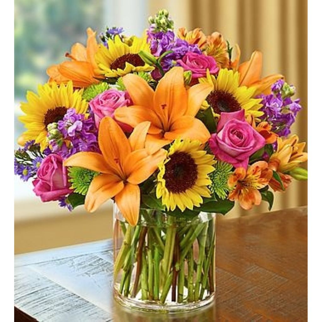 Epic Day In The Twin Cities –  North Star Blooms, Roseville MN