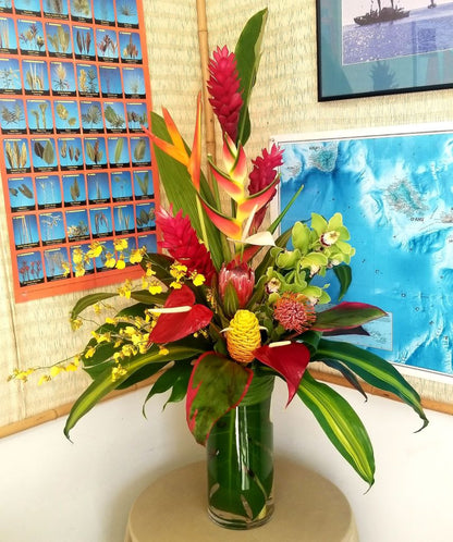 Tropical Joy –  North Star Blooms, Roseville MN